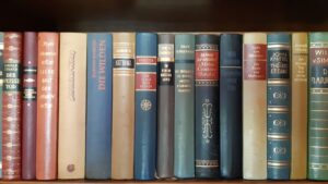 libri librerie conoscenza amici sapere scrittori scrittrici letture 
