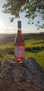 vino rosè rosa aperitivo cantina orcia vald'orcia toscana siena san quirico degustazioni 