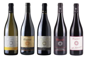 toscana siena vino wine degustazioni orcia Vald' orcia 