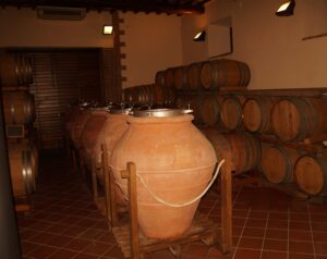 vino wine Pienza capitoni toscana siena orcia degustazioni