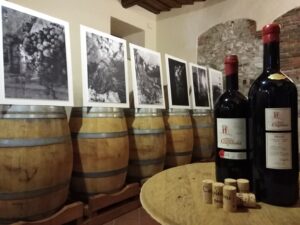 vino Wine pienza toscana capitoni toscana siena degustazioni