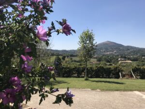 B & B caiazzo Caserta piracante natura campagna relax colazione prodotti tipici eccellenze olio vino