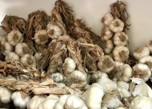 dragone-frutta-secca-legumi-patate-negozio-commercio-casapulla-caserta-dolci-spezie