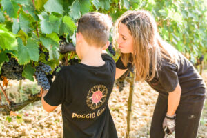 toscana-siena-wine-vino-orcia-poggio-grande-degustazioni-olio