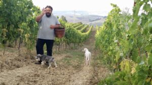 Messico-zipolite-acapulco-argentina-toscana-valdoria-vino-orcia-orciadoc-artigianato-collane-vegliena-marmellate-frutteto-rosato-olioextraverginedioliva-olio-siena-agriturismo-gelbaum-Romagnoli