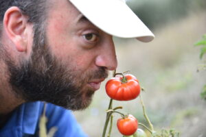 sbecciatrice-pomodororiccio-pomodoro-legumi-fagioli-ceci-caiazzo-pianadimonteverna-caserta-agricoltura-contadini-olivecaiazzane-slowfood-cremadifagioli-prodottiautoctoni-prototti tipici-sostenibilita-biodiversita-biologico-naturale-origini