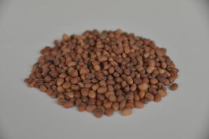 sbecciatrice-pomodororiccio-pomodoro-legumi-fagioli-ceci-caiazzo-pianadimonteverna-caserta-agricoltura-contadini-olivecaiazzane-slowfood-cremadifagioli-prodottiautoctoni-prototti tipici-sostenibilita-biodiversita-biologico-naturale-origini