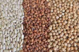 sbecciatrice-pomodororiccio-pomodoro-legumi-fagioli-ceci-caiazzo-pianadimonteverna-caserta-agricoltura-contadini-olivecaiazzane-slowfood-cremadifagioli-prodottiautoctoni-prototti tipici-sostenibilita-biodiversita-biologico-naturale-origini