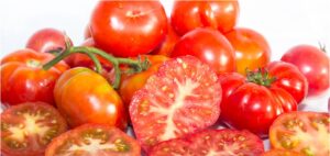 sbecciatrice-pomodororiccio-pomodoro-legumi-fagioli-ceci-caiazzo-pianadimonteverna-caserta-agricoltura-contadini-olivecaiazzane-slowfood-cremadifagioli-prodottiautoctoni-prototti tipici-sostenibilita-biodiversita-biologico-naturale-origini