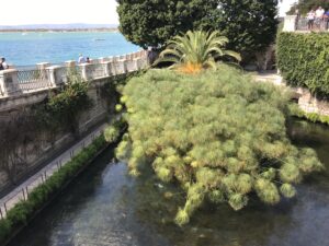 sicilia-siracusa-viaggi-italia-archimede