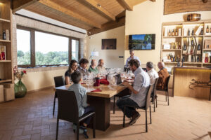 brunello-sangiovese-vigna-toscana-siena-montalcino-vino-wine-orcia-degustazioni-terzuoli-sassodisole