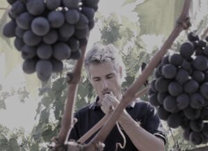 brunello-sangiovese-vigna-toscana-siena-montalcino-vino-wine-orcia-degustazioni-terzuoli-sassodisole
