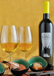 cabernetsauvignon-falanghina-pallagrellonero-greco-pallagrello-alepa-paolariccio-vino-naturale-caiazzo-caserta-aziendavinicola-mariacarolina-ricciobianco-borbone-borboni