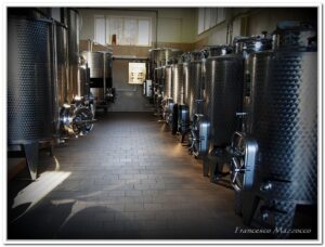 cabernetsauvignon-falanghina-pallagrellonero-greco-pallagrello-alepa-paolariccio-vino-naturale-caiazzo-caserta-aziendavinicola-mariacarolina-ricciobianco-borbone-borboni