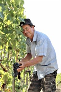 brunello-sangiovese-vigna-toscana-siena-montalcino-vino-wine-orcia-degustazioni-terzuoli-sassodisole