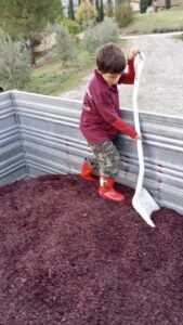 brunello-sangiovese-vigna-toscana-siena-montalcino-vino-wine-orcia-degustazioni-terzuoli-sassodisole