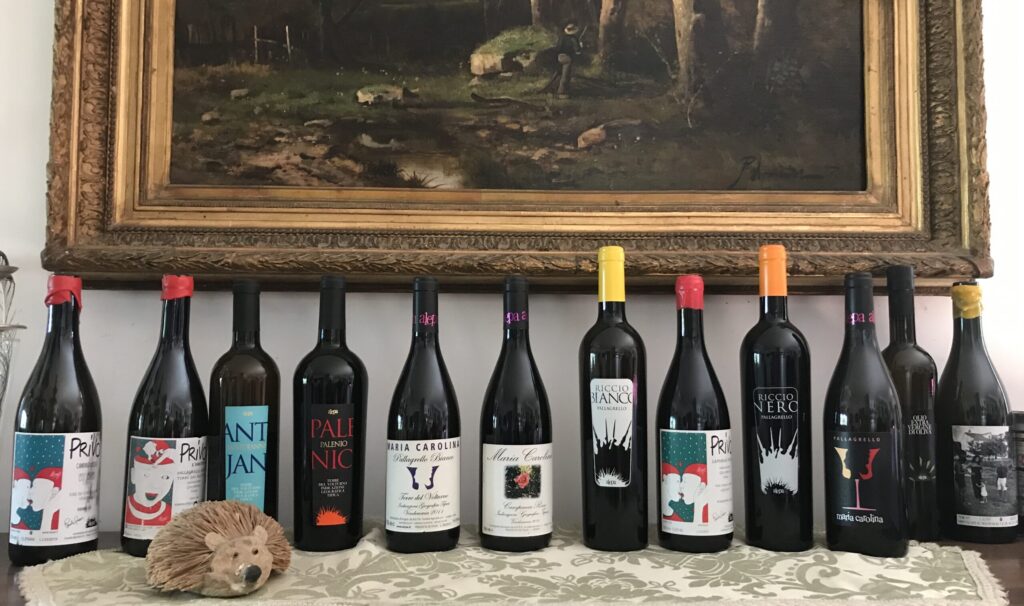 cabernetsauvignon-falanghina-pallagrellonero-greco-pallagrello-alepa-paolariccio-vino-naturale-caiazzo-caserta-aziendavinicola-mariacarolina-ricciobianco-borbone-borboni