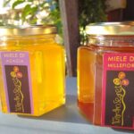 caserta-caiazzo-giardino-segreto-villasantacroce-agricoltura-olivecaiazzane-fagioli-miele-presidioslowfood-biologico-olio-ortaggi-degustazione