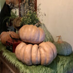 caserta-caiazzo-giardino-segreto-villasantacroce-agricoltura-olivecaiazzane-fagioli-miele-presidioslowfood-biologico-olio-ortaggi-degustazione