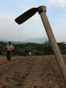 caserta-caiazzo-giardino-segreto-villasantacroce-agricoltura-olivecaiazzane-fagioli-miele-presidioslowfood-biologico-olio-ortaggi-degustazione
