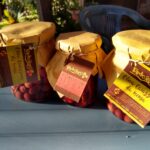 caserta-caiazzo-giardino-segreto-villasantacroce-agricoltura-olivecaiazzane-fagioli-miele-presidioslowfood-biologico-olio-ortaggi-degustazione