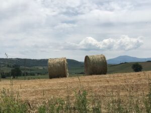 montalcino-valdorcia-trenonatura-toscana-repubblica-duegiugno-ferrovia-paesaggi