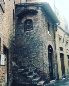 vita-siena-camollia-insegnare-prof-diritto-sogni
